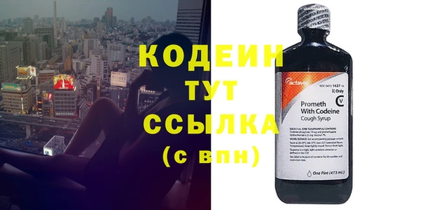 таблы Бородино