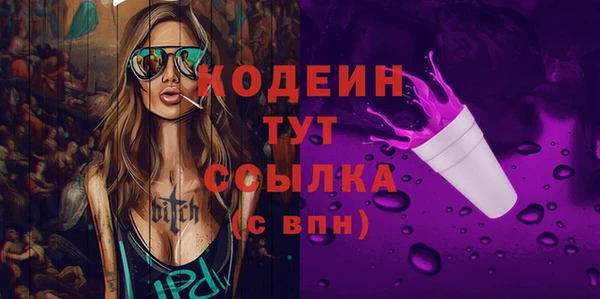 таблы Бородино