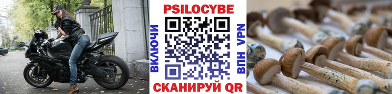 дарнет шоп  Нижнекамск  Псилоцибиновые грибы Magic Shrooms 